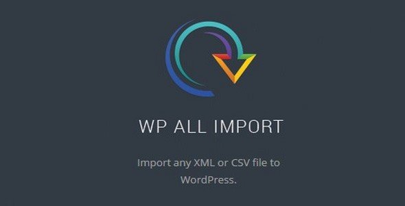 WP All Import Pro v4.11.4