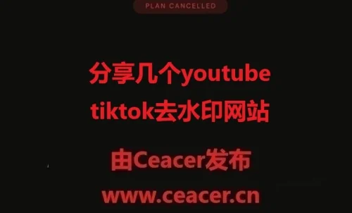 分享几个youtube、tiktok去水印网站