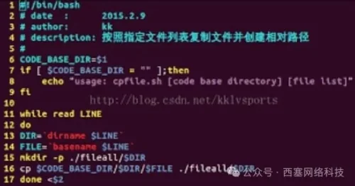 批量将任何文件复制搭配任意目录