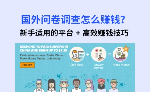 新手必看！2025 国外问卷调查怎么赚钱？有哪些平台？